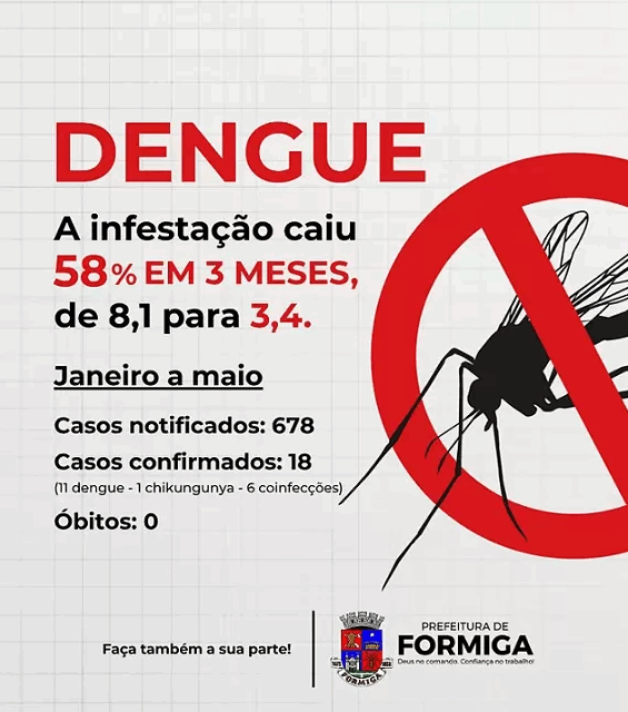 Formiga reduz infestação da dengue e retoma estado de normalidade