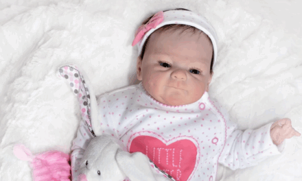 Bebê reborn e perfil no Instagram viram centro de disputa judicial