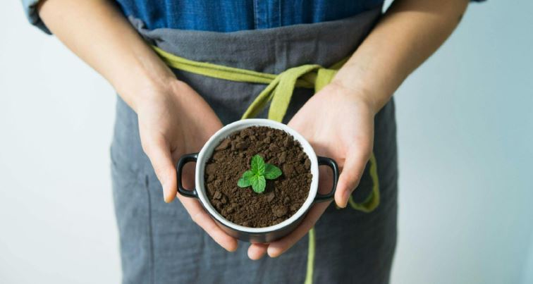 Tendências do Trabalho: Crescimento do Mercado Verde