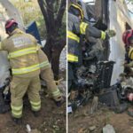 Motorista de carreta bate em árvore e morre preso às ferragens na BR-251
