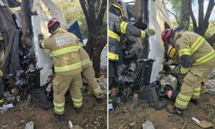 Motorista de carreta bate em árvore e morre preso às ferragens na BR-251