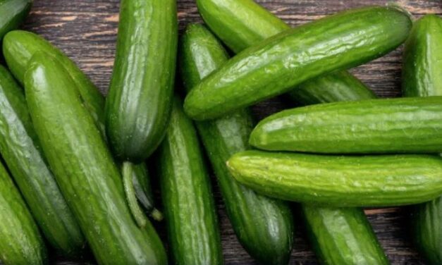 Estados Unidos recomendam o descarte de alimento inusitado após surto de Salmonella no país; entenda