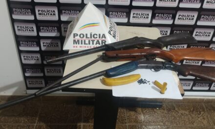 Idoso é preso por matar dois cachorros a tiros em comunidade rural de Pains