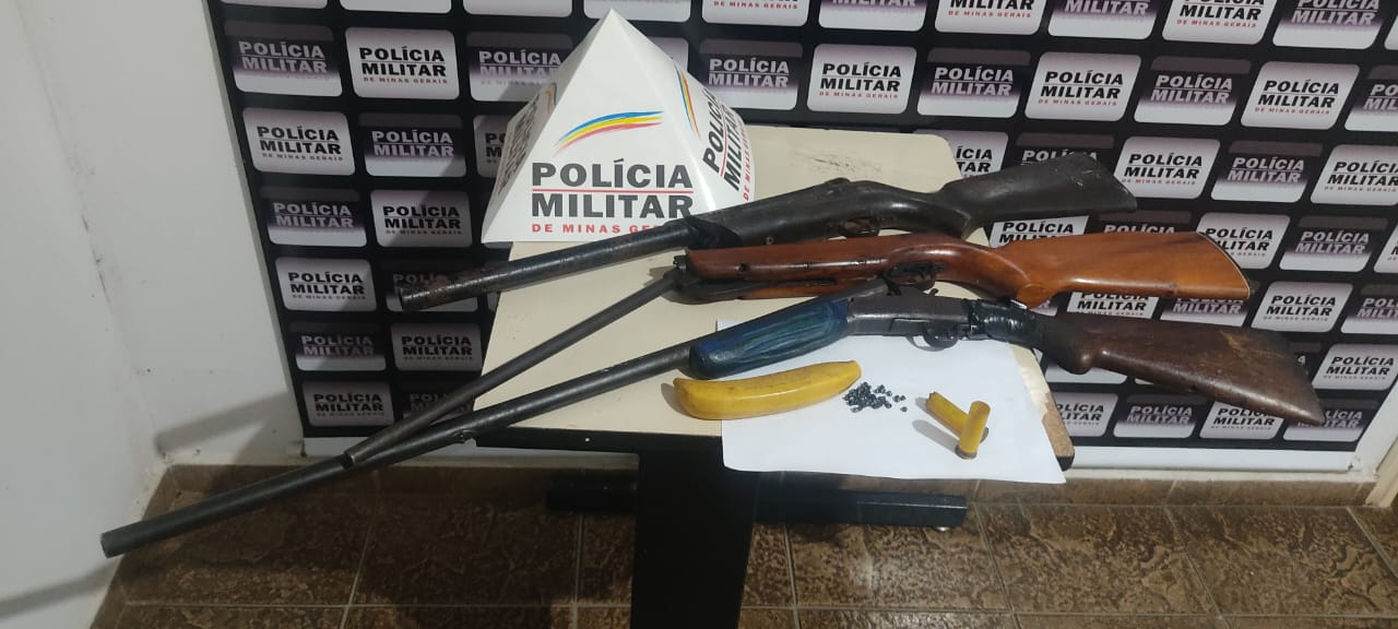 Idoso é preso por matar dois cachorros a tiros em comunidade rural de Pains