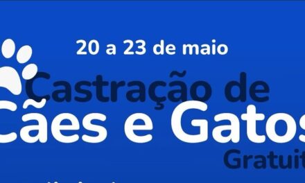 Prefeitura de Formiga promove castração gratuita de cães e gatos