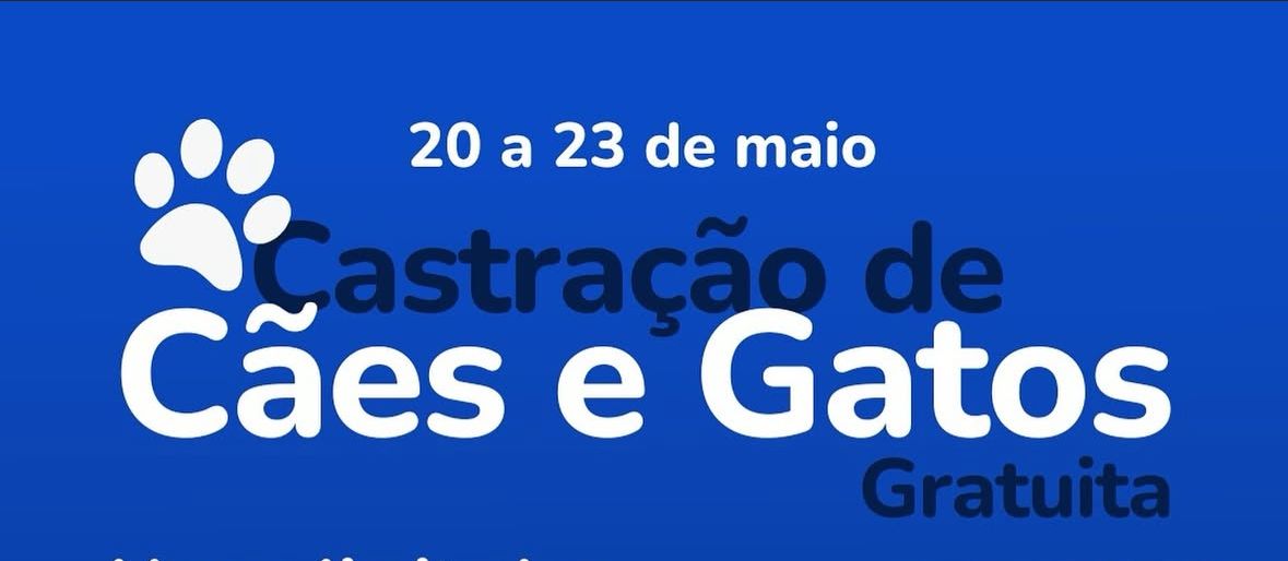 Prefeitura de Formiga promove castração gratuita de cães e gatos