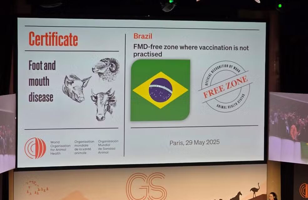 Brasil recebe status internacional como livre de febre aftosa sem vacina