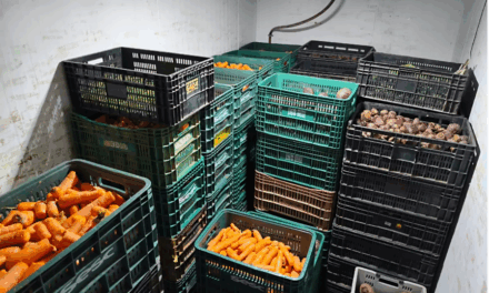 Formiga: BMA recebe mais de 8,3 toneladas de alimentos em doações
