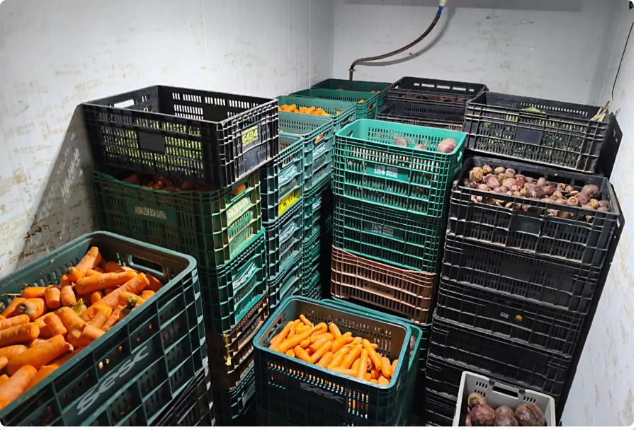 Formiga: BMA recebe mais de 8,3 toneladas de alimentos em doações