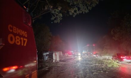 Carreta capota e bate em árvore, em Arcos