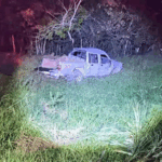 Idoso morre após capotar caminhonete e ser atacado por abelhas