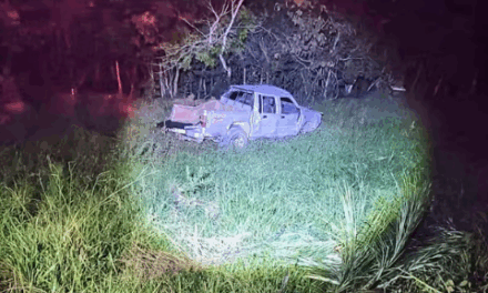 Idoso morre após capotar caminhonete e ser atacado por abelhas