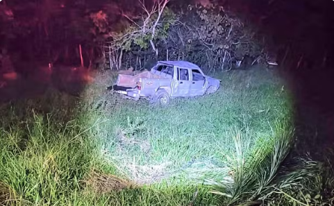Idoso morre após capotar caminhonete e ser atacado por abelhas