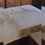 Irmãos são presos por manter corpo de pai apodrecido há meses em casa
