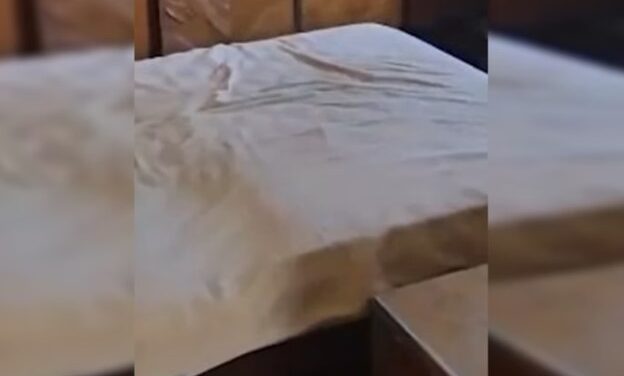 Irmãos são presos por manter corpo de pai apodrecido há meses em casa
