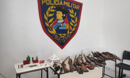 Homem é preso com arsenal de armas e cães de caça em cidade de MG