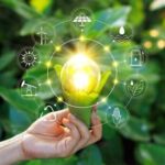 Brasil aprova Plano Nacional de Economia Circular para um futuro sustentável