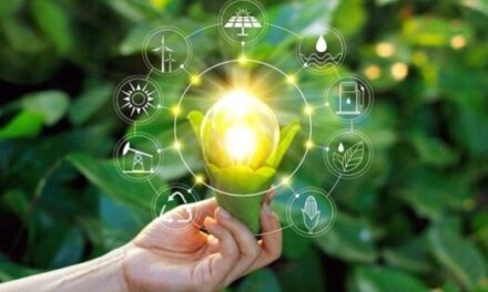 Brasil aprova Plano Nacional de Economia Circular para um futuro sustentável