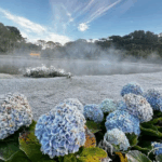 Sul de Minas registra sensação térmica abaixo de 0ºC