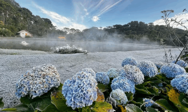 Sul de Minas registra sensação térmica abaixo de 0ºC