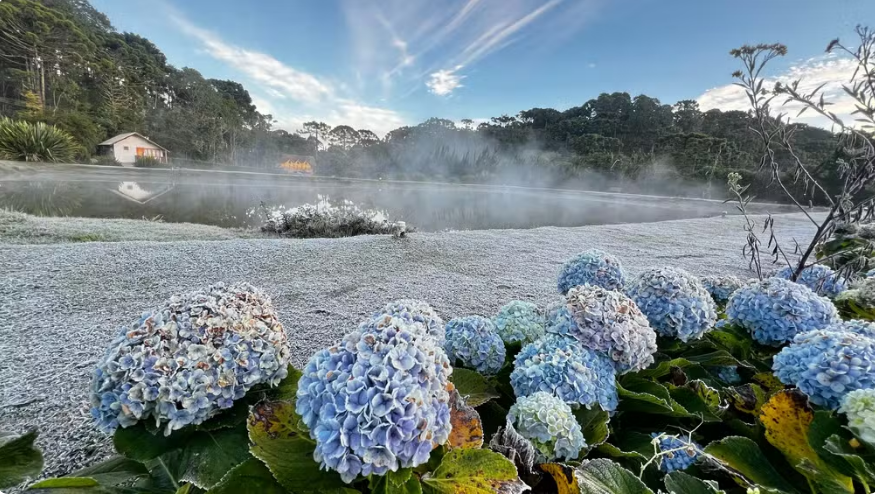 Sul de Minas registra sensação térmica abaixo de 0ºC