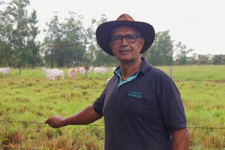 Pecuaristas do Norte de Minas investem em leilões  