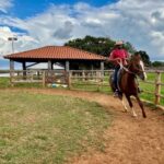 Programa do Senar, em parceria com o SPR Sete Lagoas e a ABCCMM, transforma a vida de tratador de cavalos  