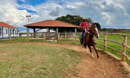 Programa do Senar, em parceria com o SPR Sete Lagoas e a ABCCMM, transforma a vida de tratador de cavalos  
