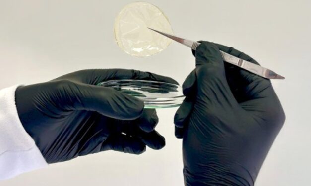 UFV cria curativo biodegradável  