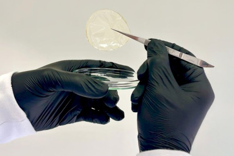 UFV cria curativo biodegradável  