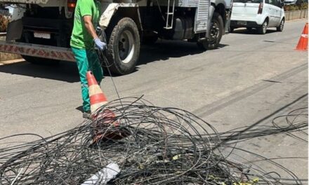 3,6 toneladas de cabos irregulares retirados  