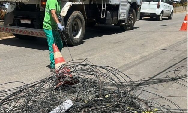 3,6 toneladas de cabos irregulares retirados  