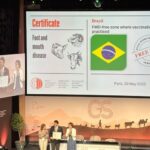 Brasil livre de febre aftosa sem vacinação  