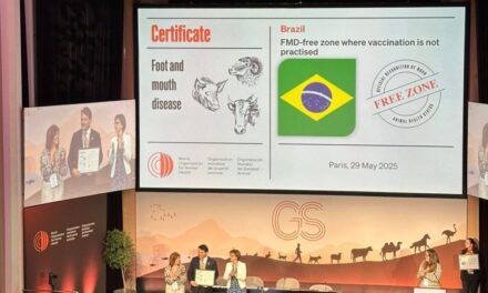 Brasil livre de febre aftosa sem vacinação  
