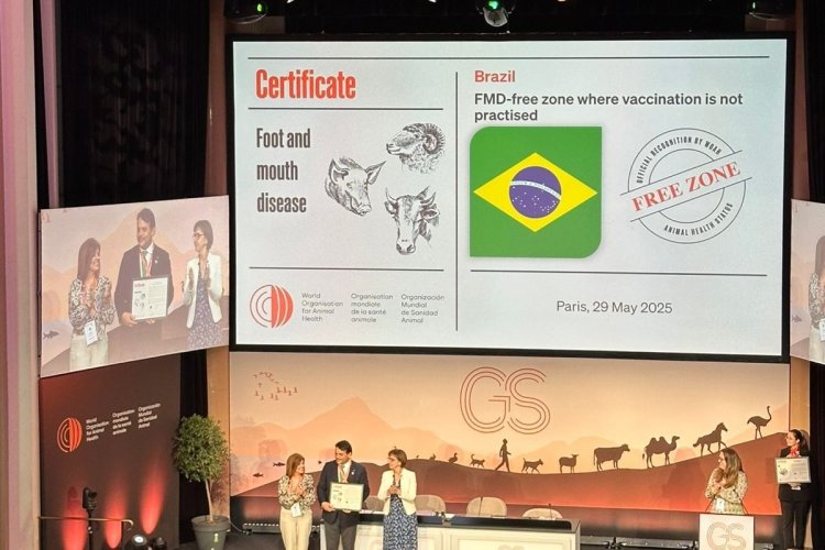 Brasil livre de febre aftosa sem vacinação  
