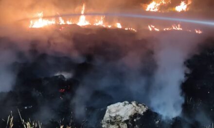 Bombeiros combatem incêndio em lote vago, em Arcos