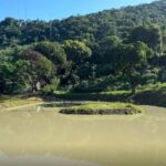 Construção irregular é embargada em área de proteção ambiental no Rio
