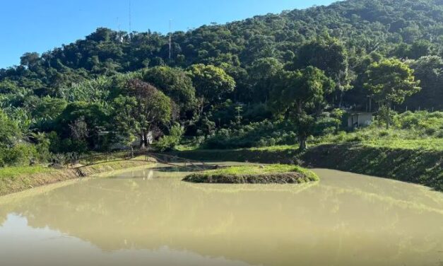 Construção irregular é embargada em área de proteção ambiental no Rio