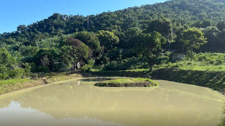 Construção irregular é embargada em área de proteção ambiental no Rio