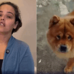 Mulher tem lábio arrancado por cachorro e passa por cirurgia de reconstrução