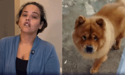 Mulher tem lábio arrancado por cachorro e passa por cirurgia de reconstrução