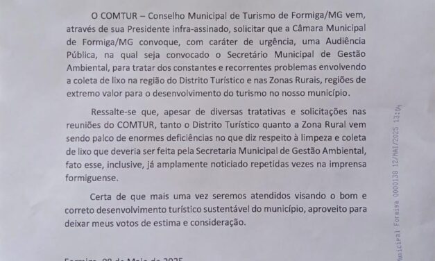 COMTUR quer audiência pública na Câmara para discutir problemas relativos à limpeza urbana