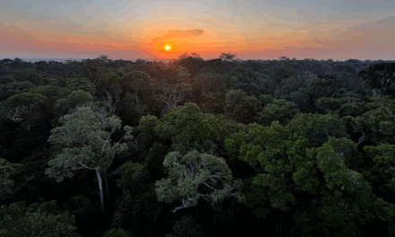 Começa hoje em Brasília a 5ª Conferência Nacional do Meio Ambiente