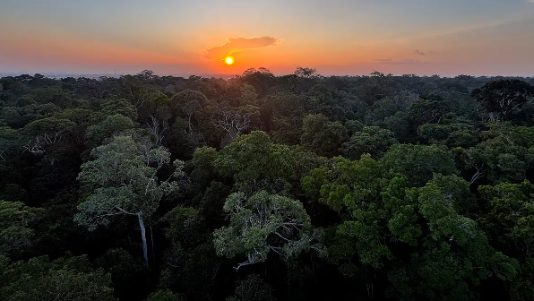 Começa hoje em Brasília a 5ª Conferência Nacional do Meio Ambiente