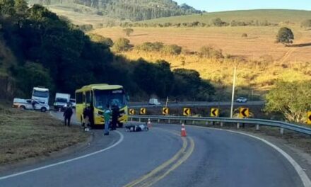 Motociclista morre após bater de frente com ônibus na MG-173, em Cachoeira de Minas, MG