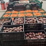 BMA recebe mais de 5,8 toneladas de alimentos em doações
