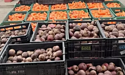 BMA recebe mais de 5,8 toneladas de alimentos em doações