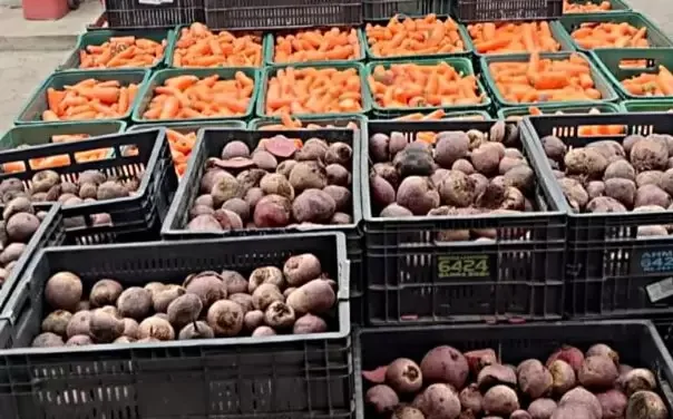 BMA recebe mais de 5,8 toneladas de alimentos em doações