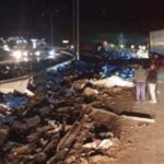 Caminhão carregado de cerveja tomba e interdita BR-381 na Grande BH