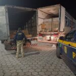 PRF age rápido e impede furto de carga de laticínios na BR-381; caminhão usado no crime era clonado